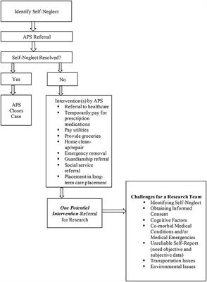 Meeting the challenges in conducting research in vulnerable older adults with self-neglect-notes from a field team